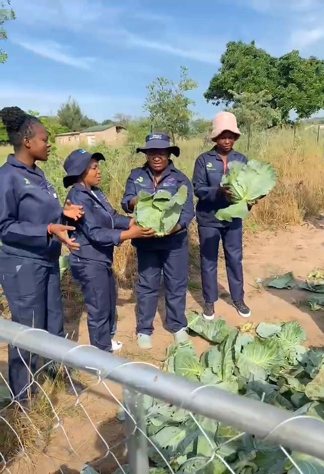 Young Entrepreneurs Sow Success in Community Enterprise Fund Learnership