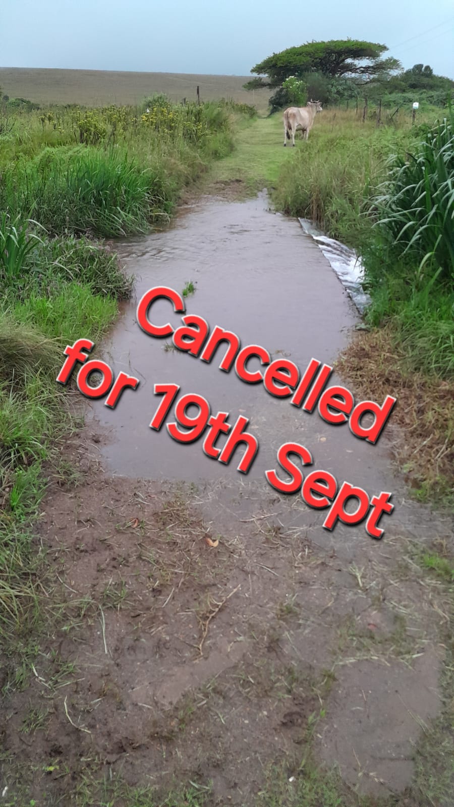 Jock Trail parkrun cancelled due to rain and course conditions